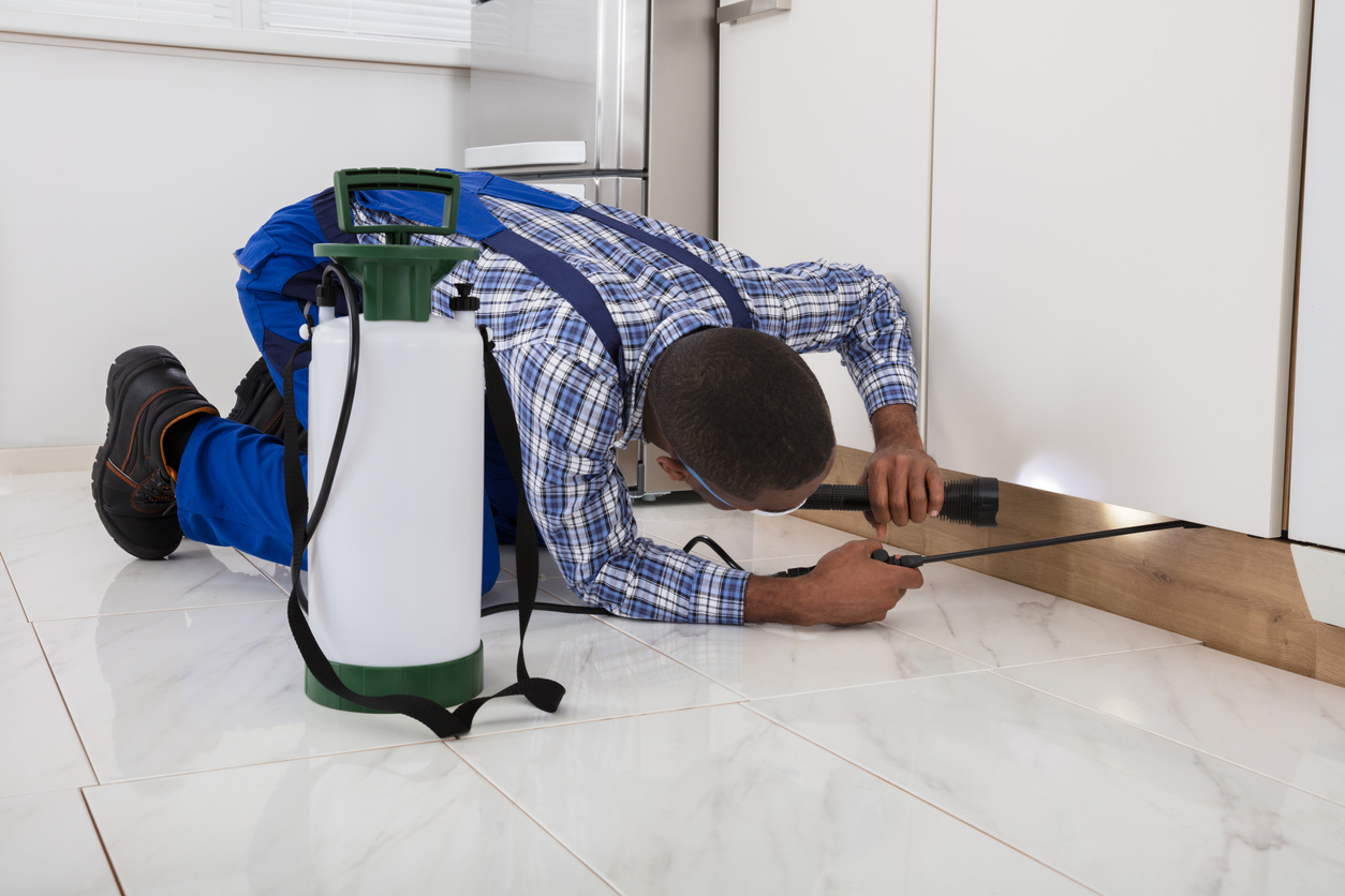 Male Worker Kneeling On Floor And Spraying Pesticide On Wooden Cabinet Using Flashlight